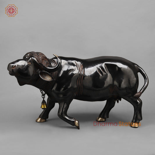 Brass Standing Buffalo, Deep Black finish 23”