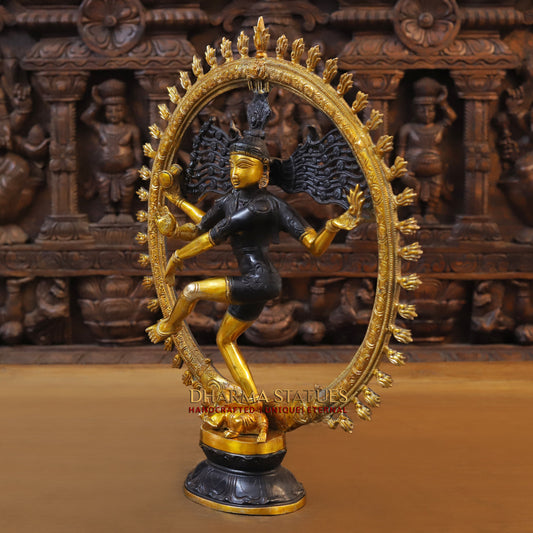 Brass Nataraja, Dancing Shiva, Copper & Golden Finish, 19"