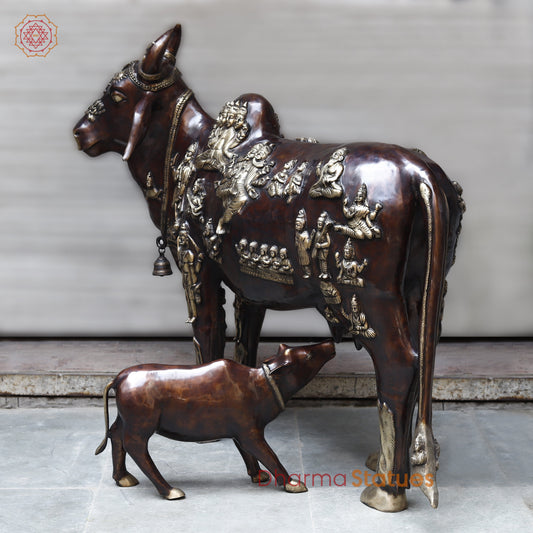 Brass Kamadhenu Cow with Calf, Copper & Golden Finish, 50"