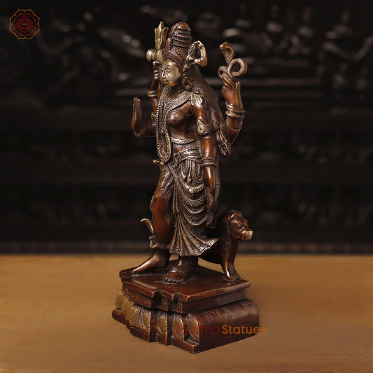 Brass Ardhanarishwar Statue, Standing, Copper Finish 17.5" side view