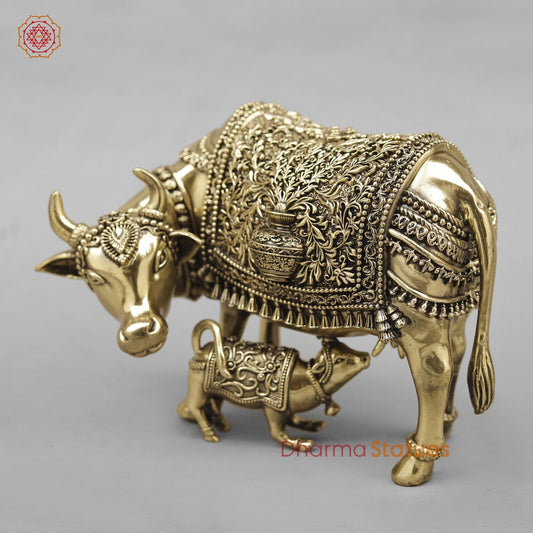Brass Cow Calf Fine 6.5”