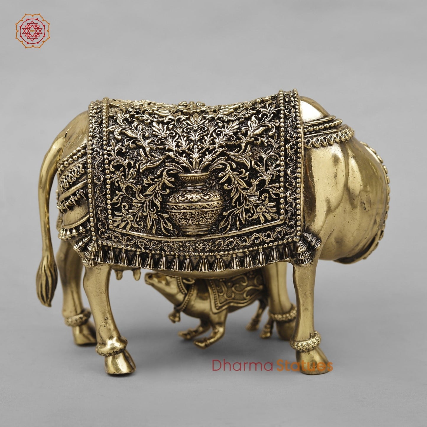 Brass Cow Calf Fine 6.5”