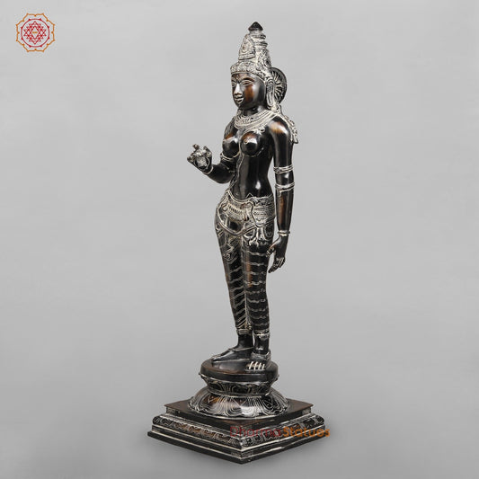 Brass Parwati Standing Fine (South Indian Style) Fine, Antique Rustic Finish 27”