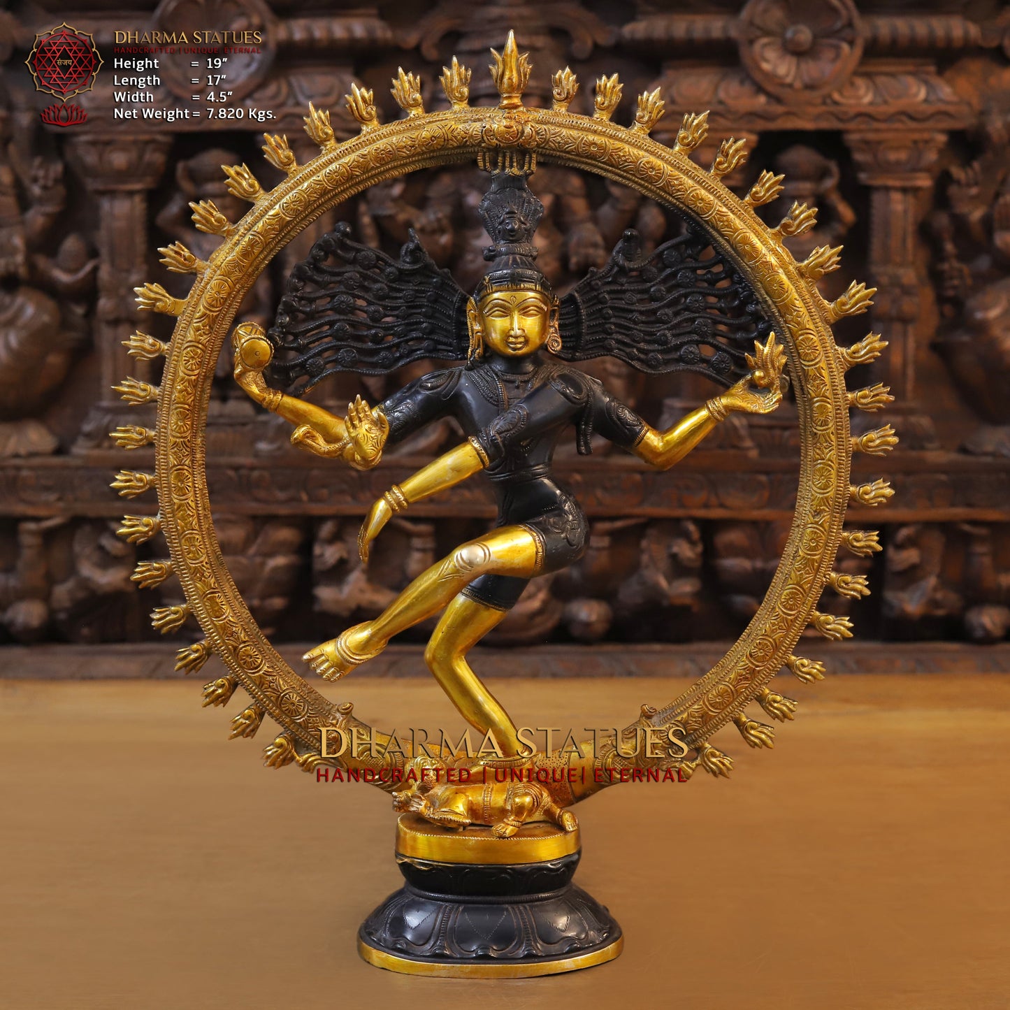 Brass Nataraja, Dancing Shiva, Copper & Golden Finish, 19"