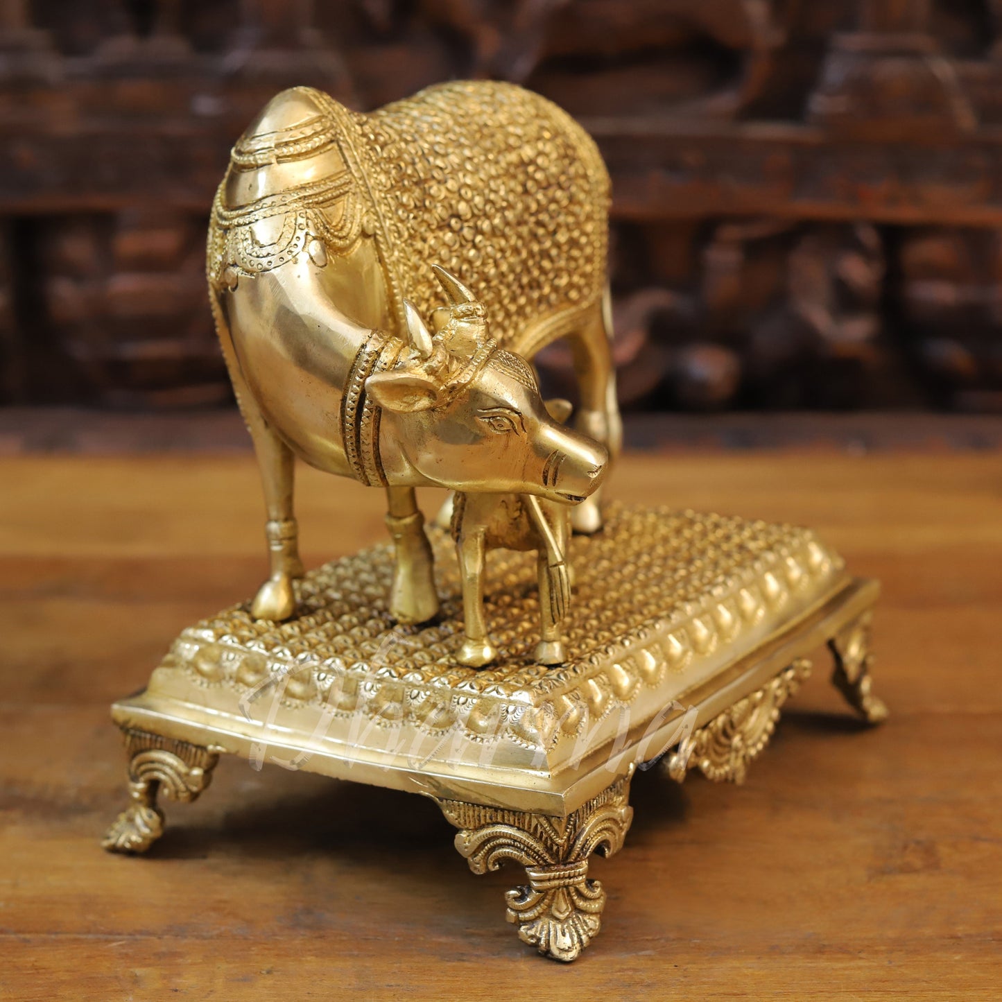 Brass Cow Feeding His Calf, Fine Golden Finish, 9.5"