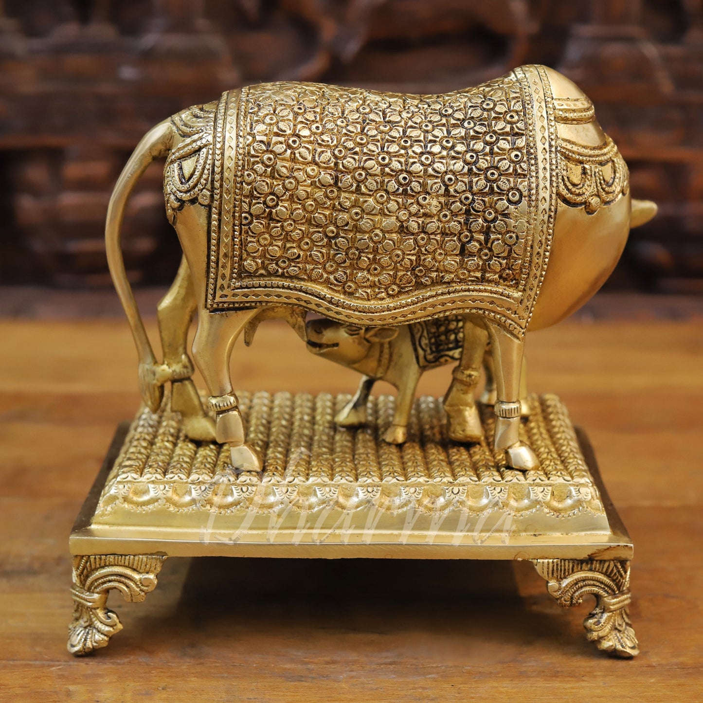 Brass Cow Feeding His Calf, Fine Golden Finish, 9.5"