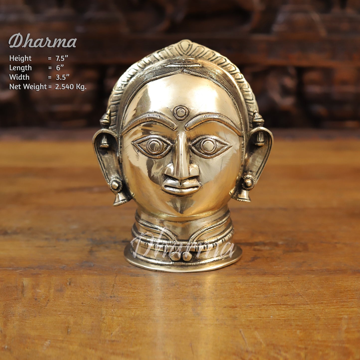 Brass parvati Head, Golden Finish, 7.5"