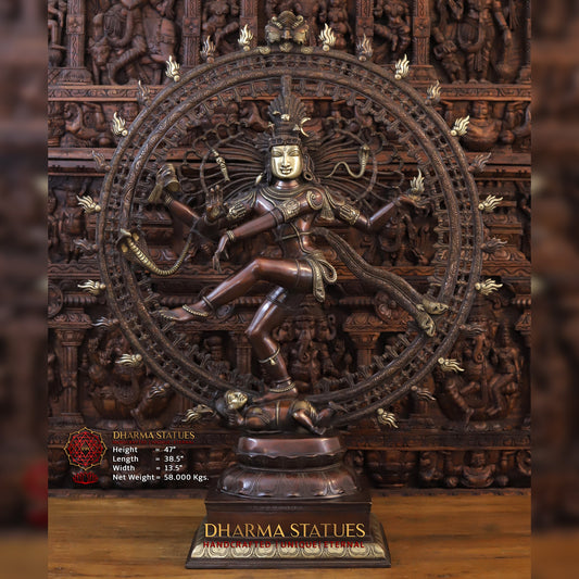 Brass Natraj Idol, Dancing Shiva, Copper and Golden Finish 47.5" Front View