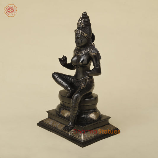 Brass Parvati in Lalita Roop, Black Patina with Golden Finish, 12"