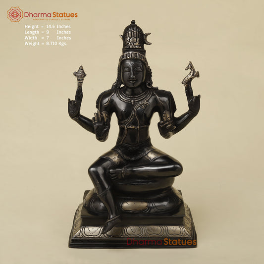 Brass Shiva with Blessing Posture, Black Patina with Golden Finish, 14.5"