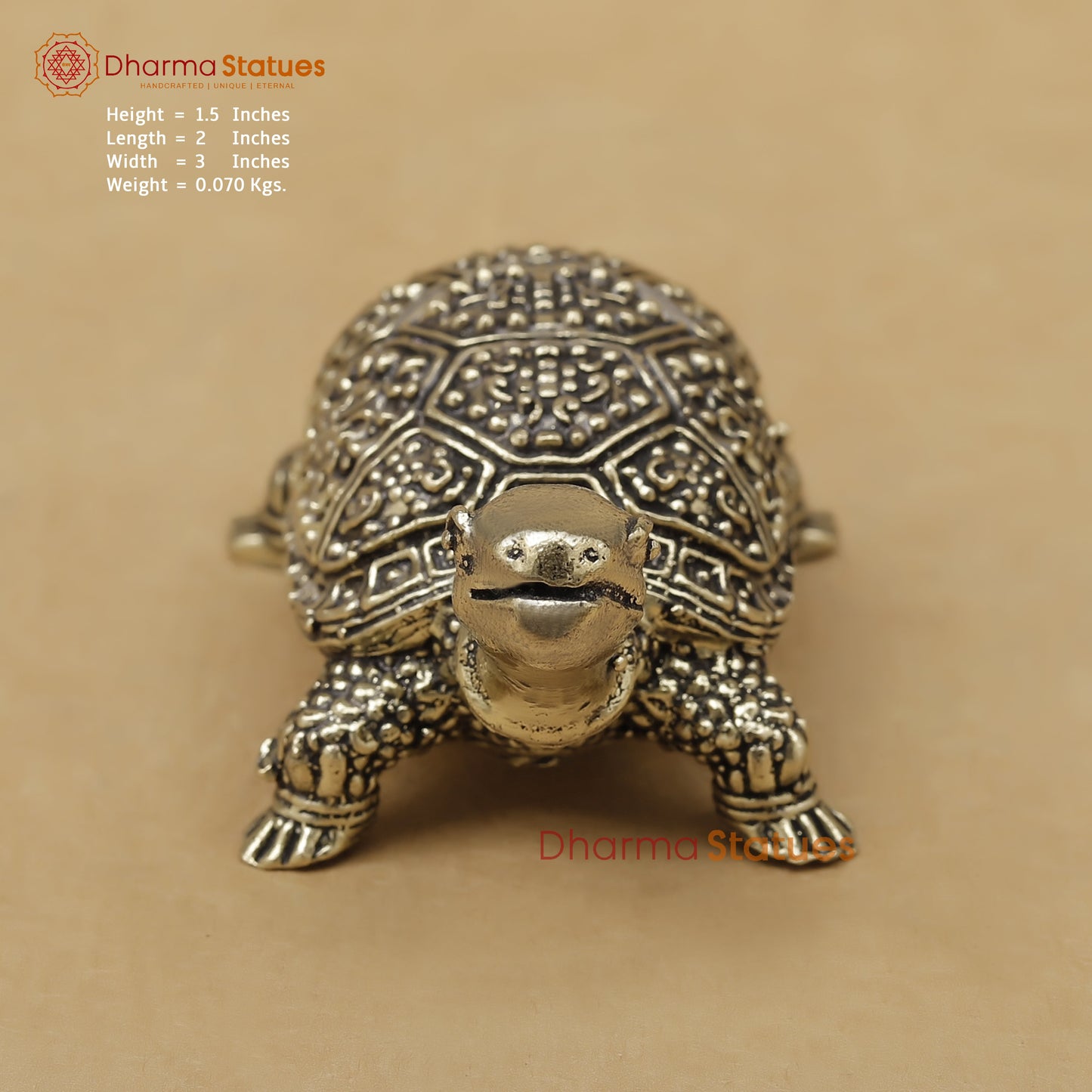 Brass Tortoise Fine, 1.5"