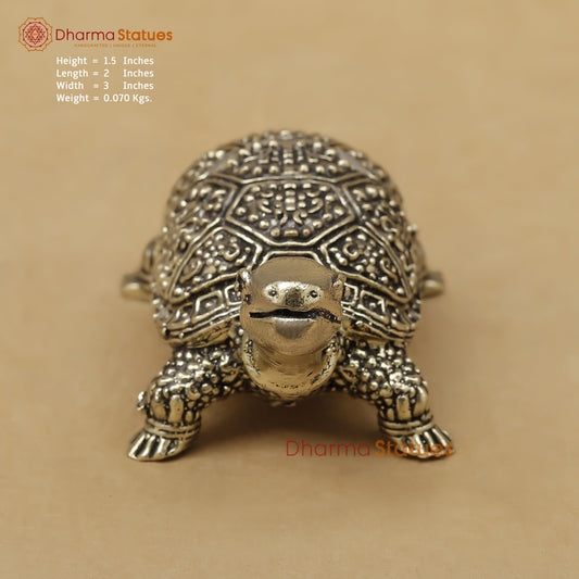 Brass Tortoise Fine, 1.5"