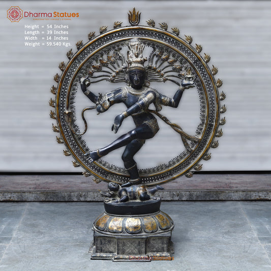 Brass Nataraja, Dancing Shiva, Black Patina & Golden Finish, 54"