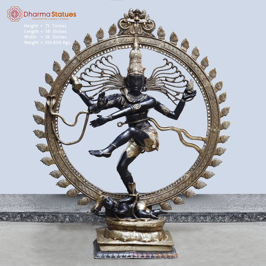Brass Natraj Large , Deep Black & Smooth Finish, 71"