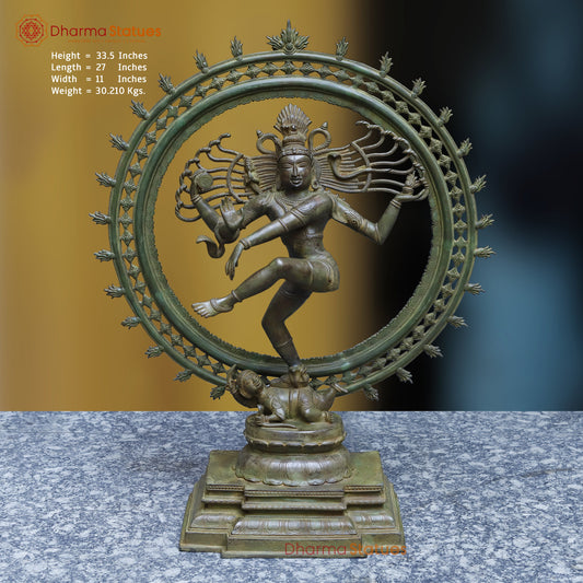 Brass Nataraja, Dancing Shiva, Black Patina & Golden Finish, 33.5"