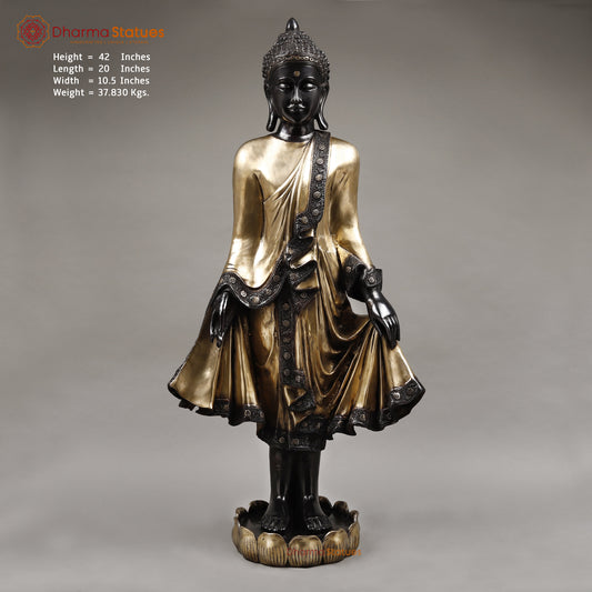 Brass Buddha Standing, Deep Black and Smooth Finish 42"