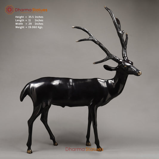 Brass Deer, Black Patina with Golden Finish, 35.5"