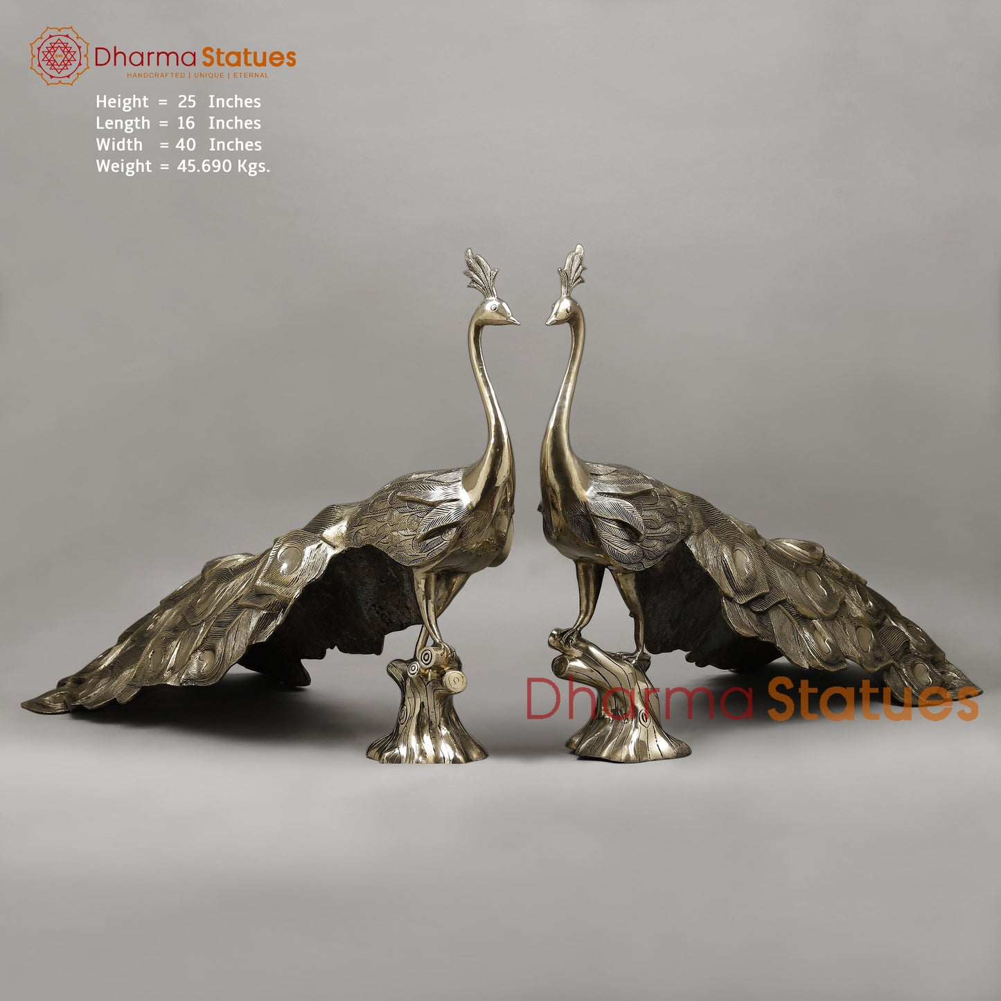 Brass Peacock, Fine Golden Finish, 25" (Single)