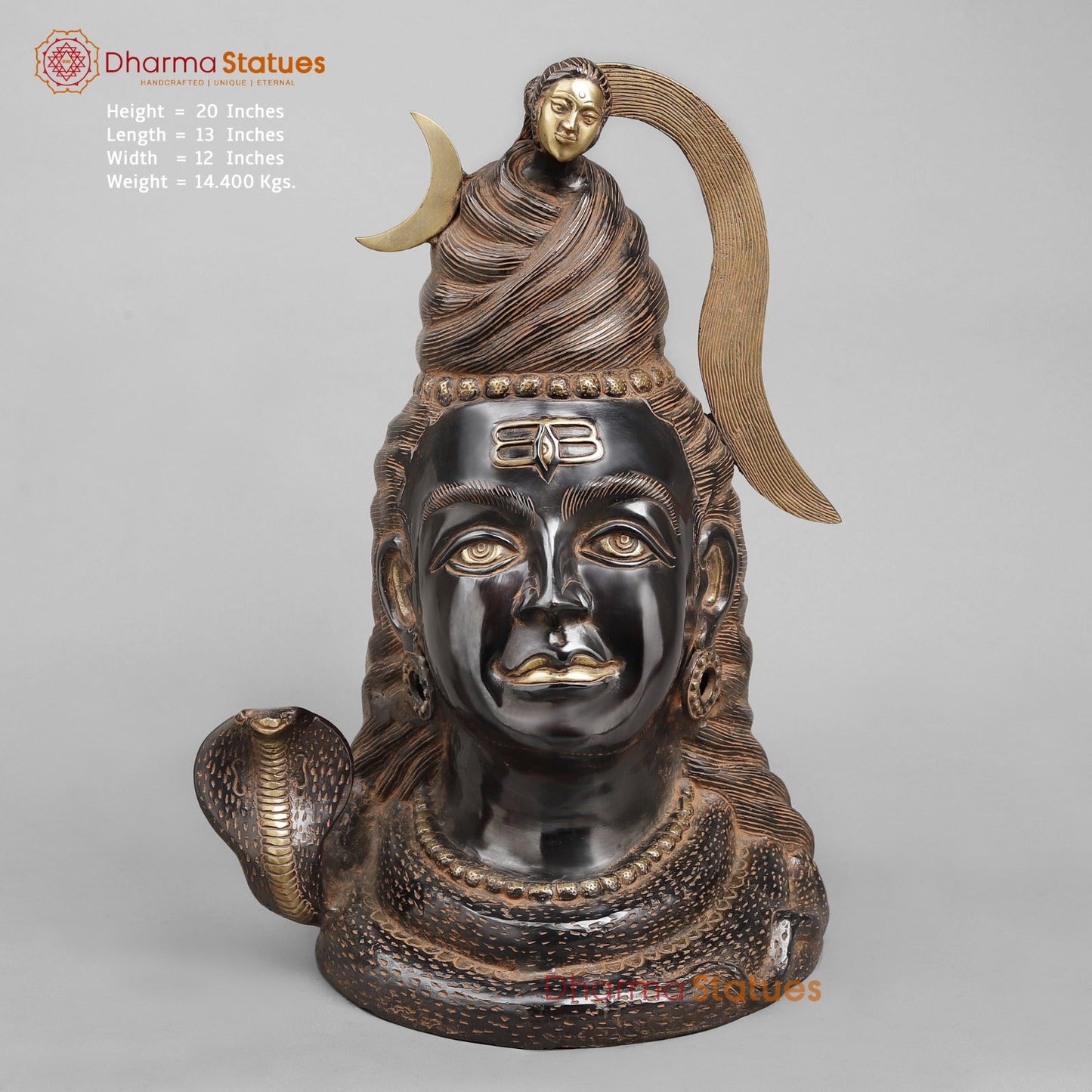 Brass Shiva Head With Ganga, Royal Black Finish 20”