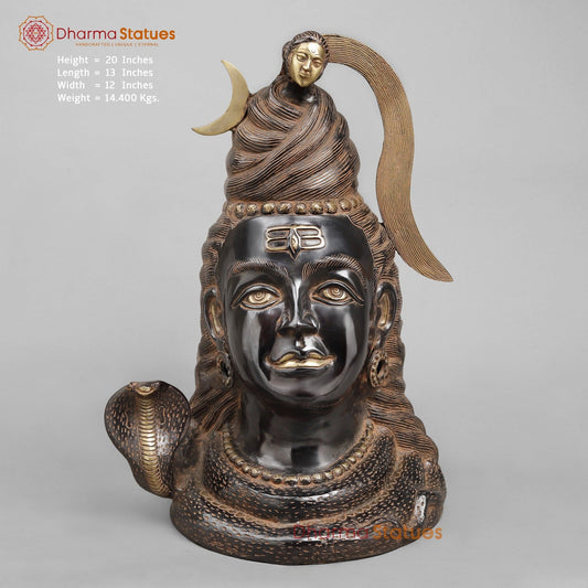 Brass Shiva Head With Ganga, Royal Black Finish 20”