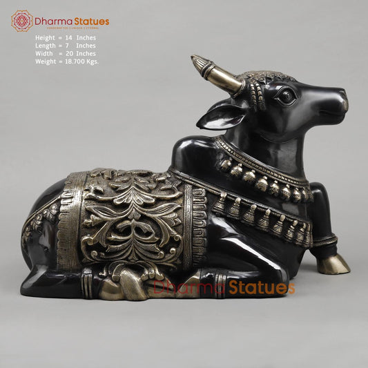 Brass Nandi Seated Fine, Royal Black Finish 21”