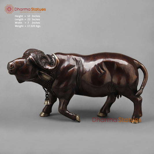 Brass Standing Buffalo, Copper finish 23”