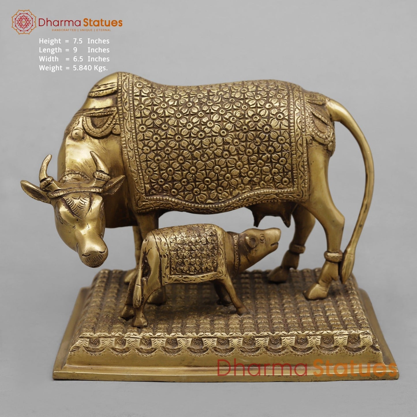 Brass Cow Calf Fine, Antique Finish 7.5”