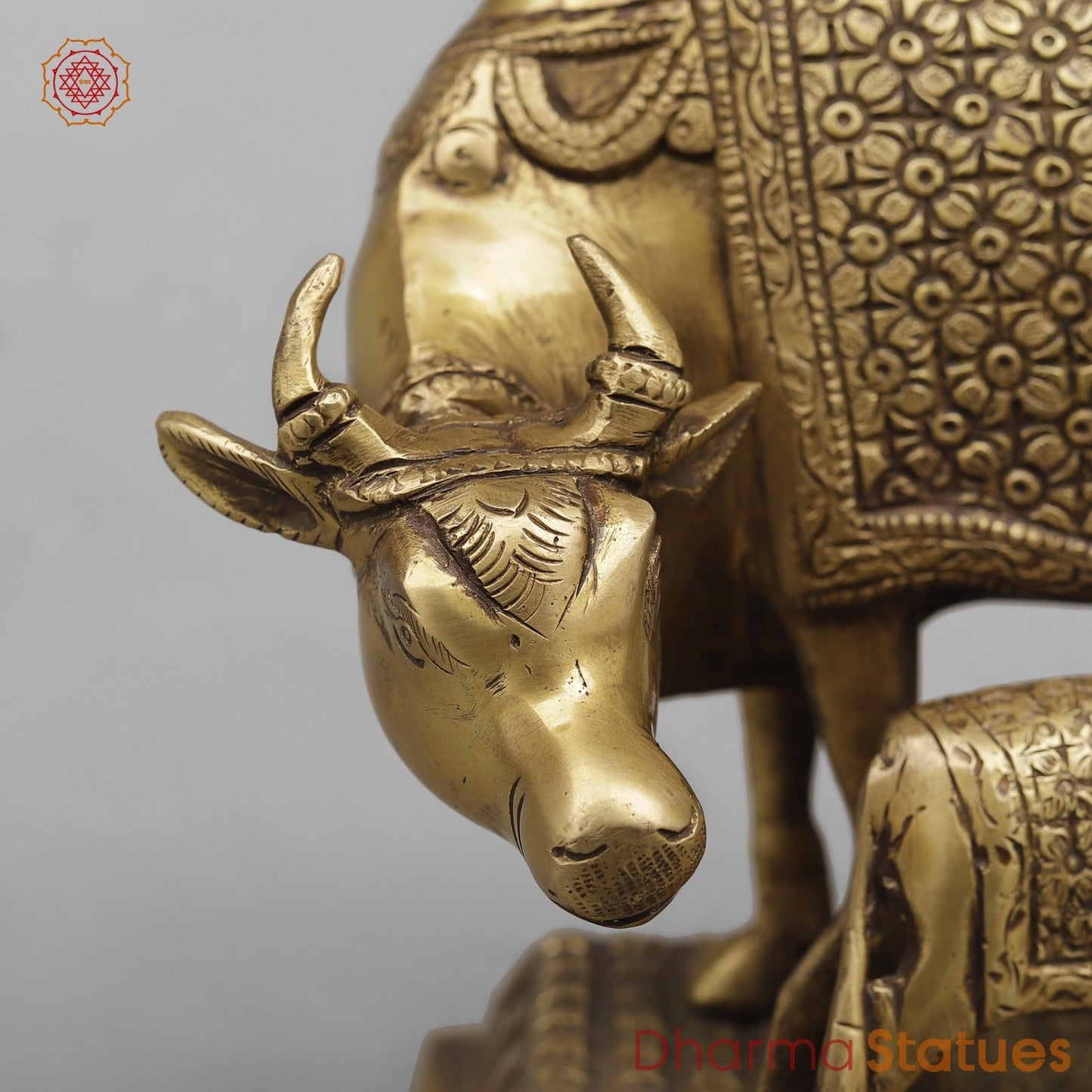 Brass Cow Calf Fine, Antique Finish 7.5”