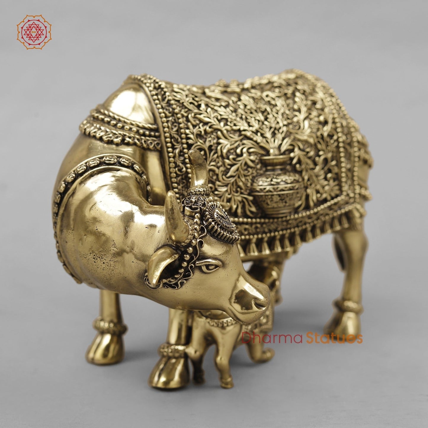 Brass Cow Calf Fine 6.5”