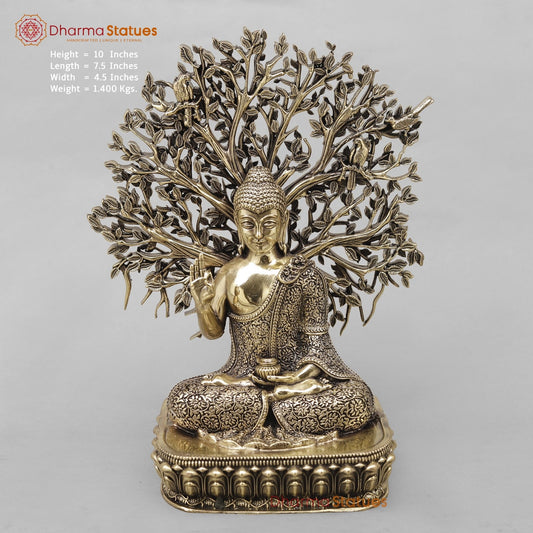 Brass Buddha Under Tree Fine 10”