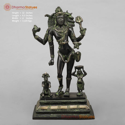 Brass Kaal Bhairo Shiva Standing Fine, Black antique Finish 12”