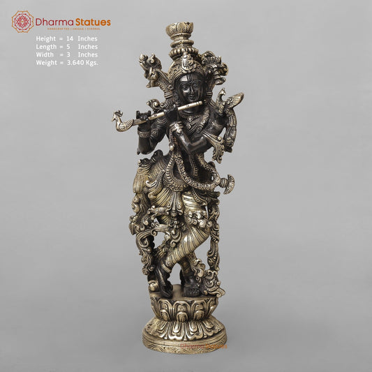 Brass Krishna Fine Standing, Royal Black Finish 14”