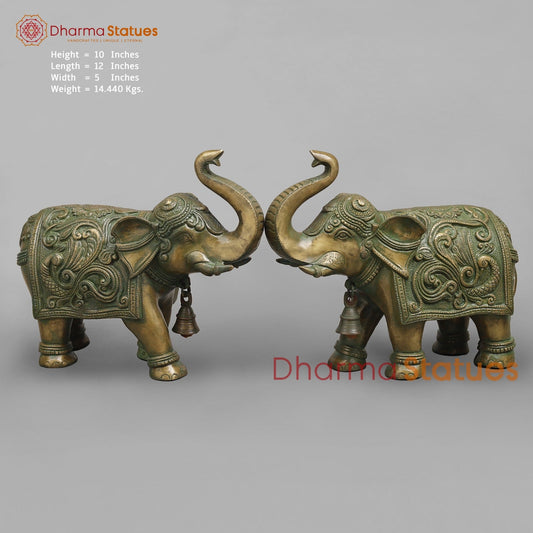 Brass Elephants Pair Peacock carving Fine, Patina Finish 12”