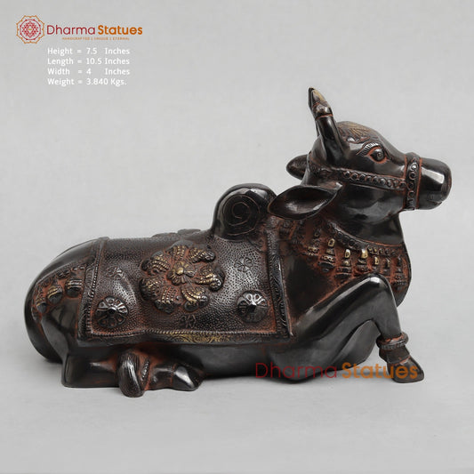Brass Nandi saeted Fine, Royal Black With Red Hues Finish 10.5”