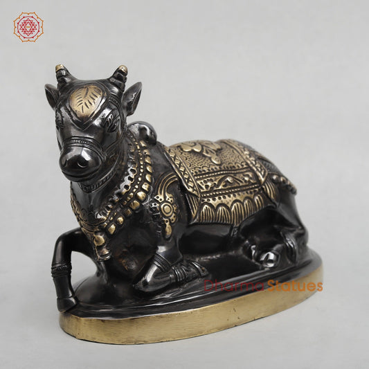 Brass Nandi seated Fine, Royal black Finish 8”