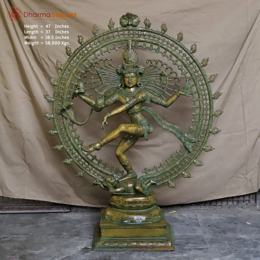 Brass Natraj Dancing Fine , Antique Bronze Finish 47”
