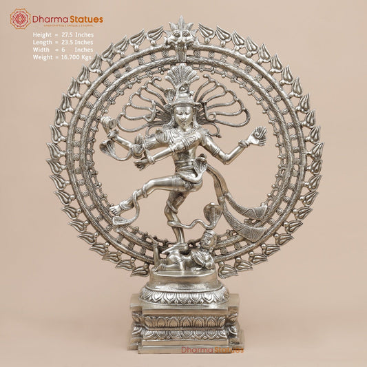 Brass Natraj fine, Silver Finish  28”